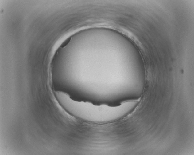 X0000071331520200607211954