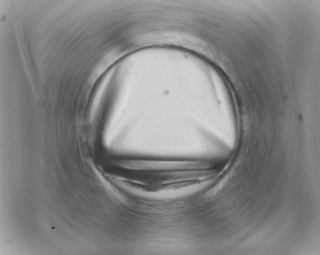 X0000071331521200607211954