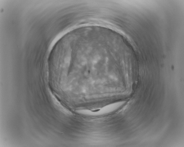 X0000071331522200607211954