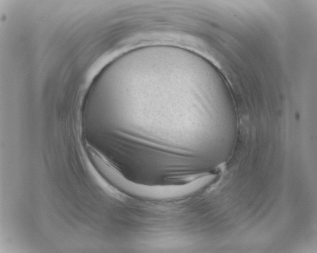 X0000071331523200607211954