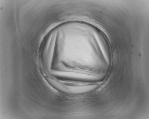 X0000071331525200607211954