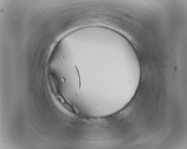 X0000071331526200607211954