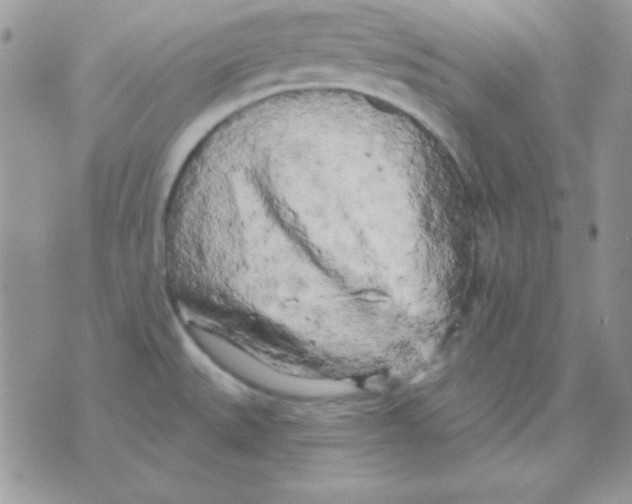 X0000071331527200607211954