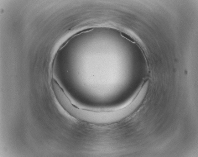 X0000071331528200607211954