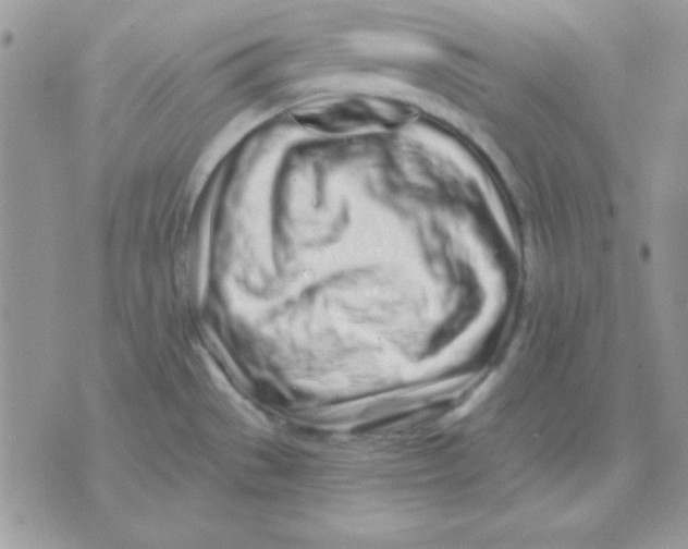 X0000071331529200607211954