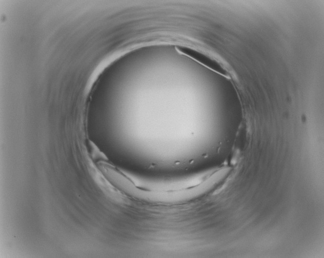 X0000071331530200607211954