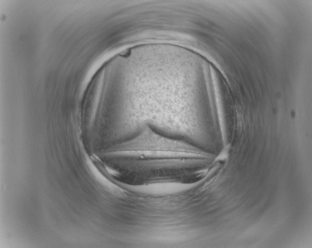 X0000071331531200607211954