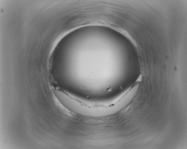 X0000071331532200607211954