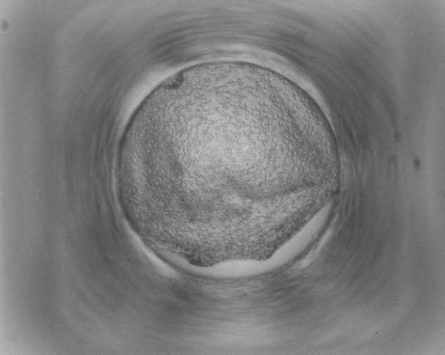 X0000071331533200607211954