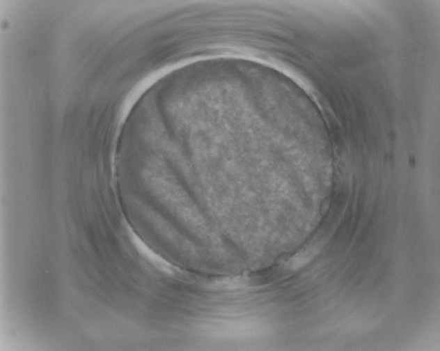 X0000071331535200607211954