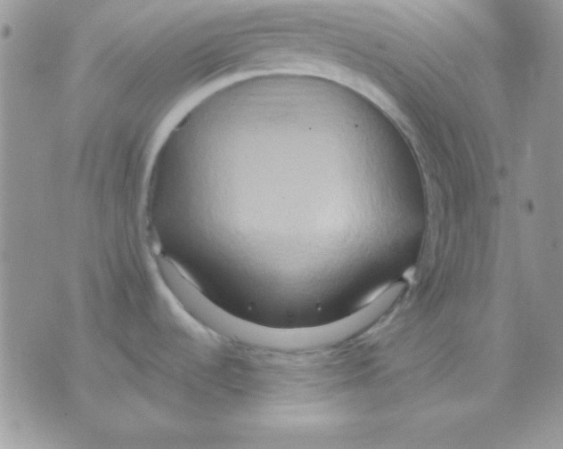 X0000071331536200607211954