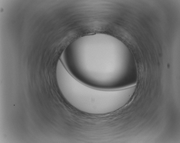 X0000071340029200606230748
