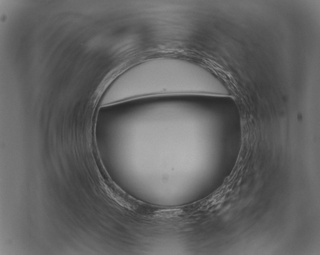 X0000071340051200606230747