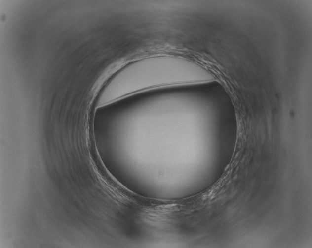 X0000071340054200606230747