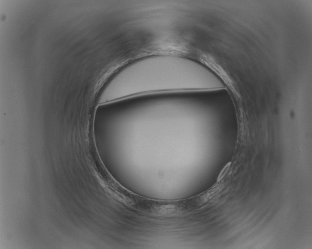 X0000071340058200606230747