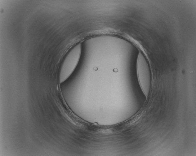 X0000071340061200606230747