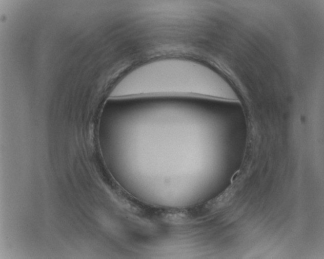 X0000071340066200606230747