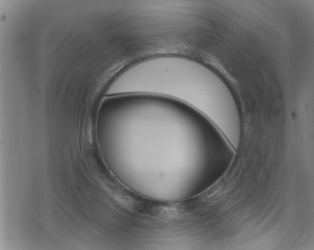 X0000071340068200606230747