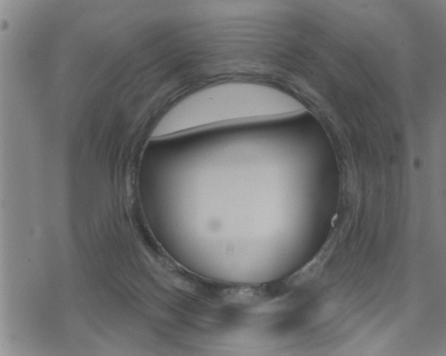 X0000071340074200606230747