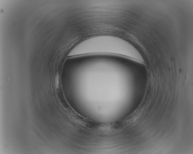 X0000071340076200606230747