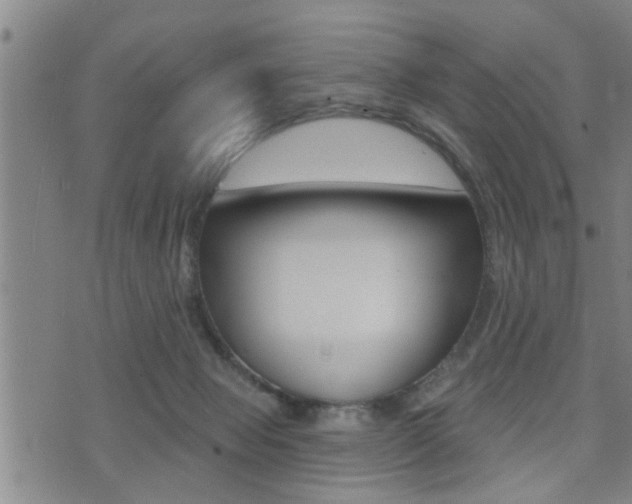 X0000071340077200606230747