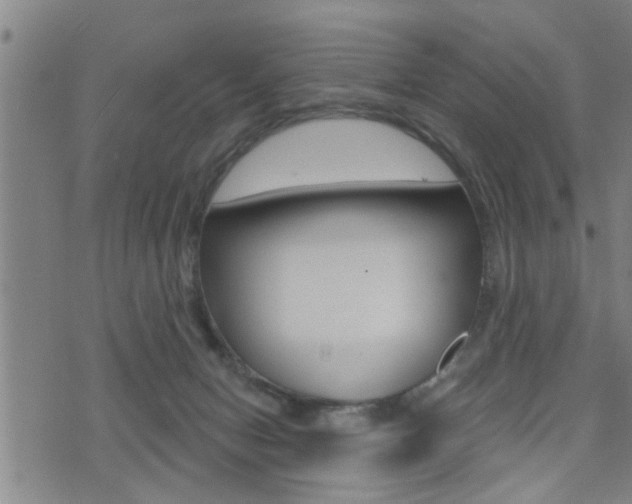 X0000071340078200606230747