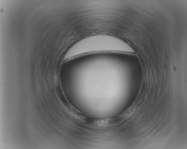 X0000071340084200606230748