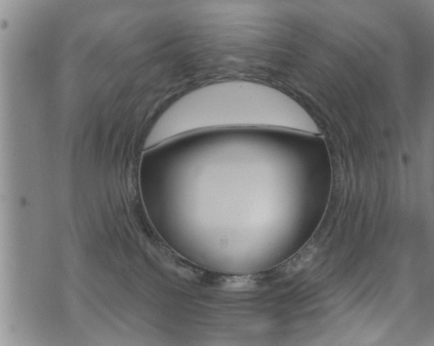 X0000071340088200606230748