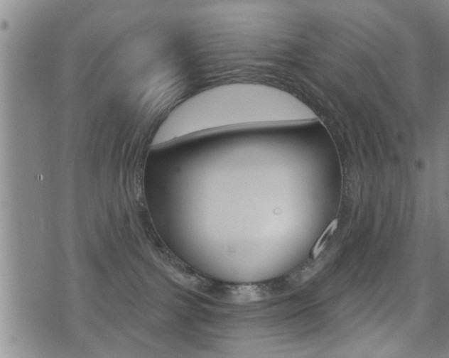 X0000071340091200606230748