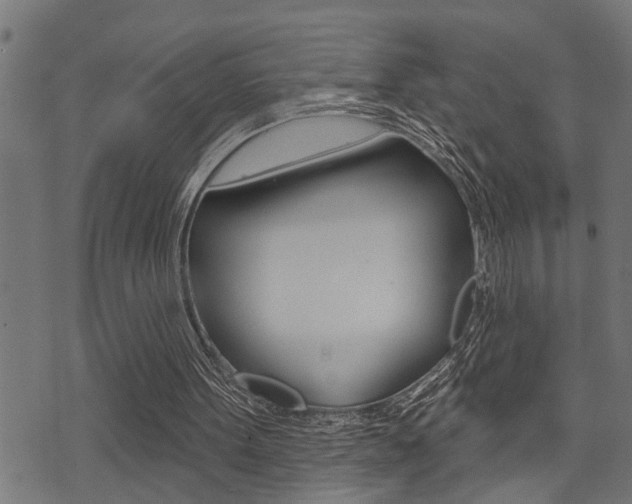 X0000071340099200606230747