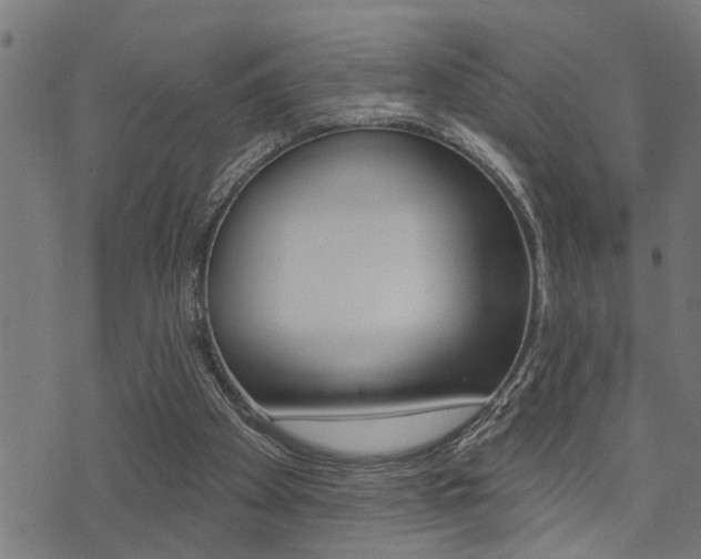 X0000071340105200606230747