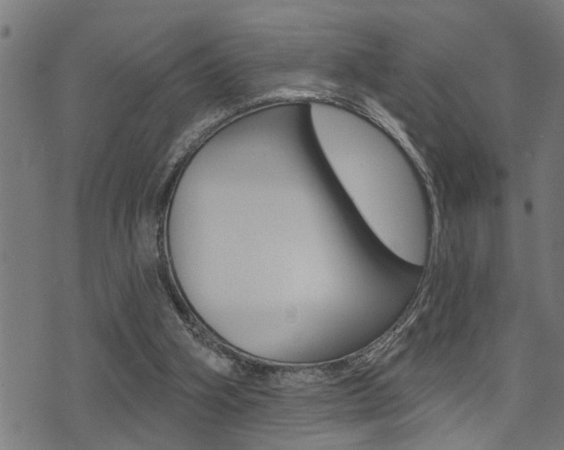 X0000071340106200606230747