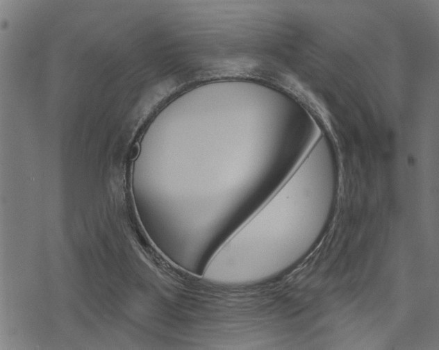 X0000071340107200606230747