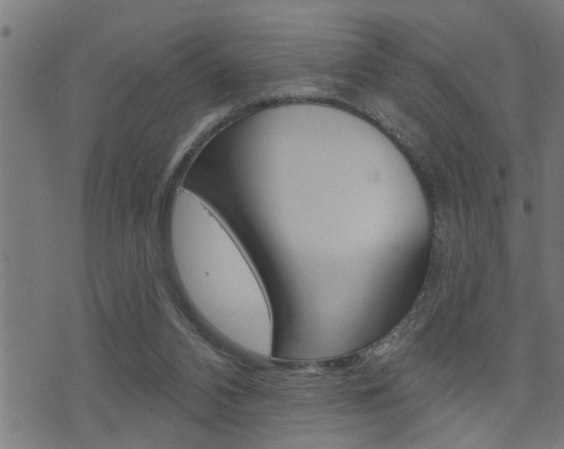 X0000071340112200606230747