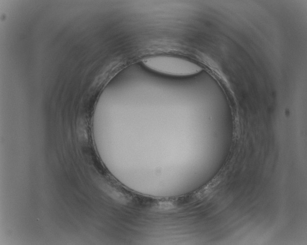 X0000071340114200606230747