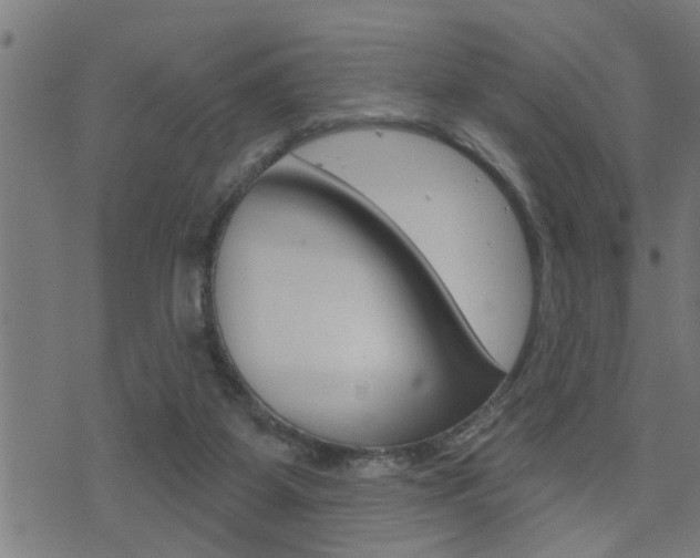 X0000071340115200606230747