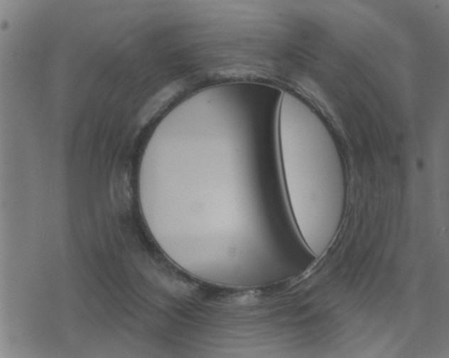 X0000071340116200606230747