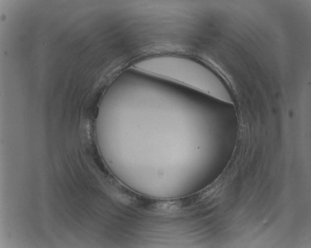 X0000071340117200606230747