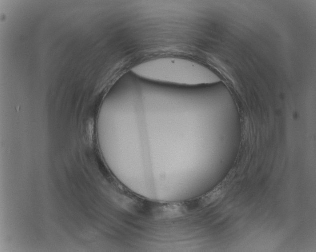 X0000071340118200606230747