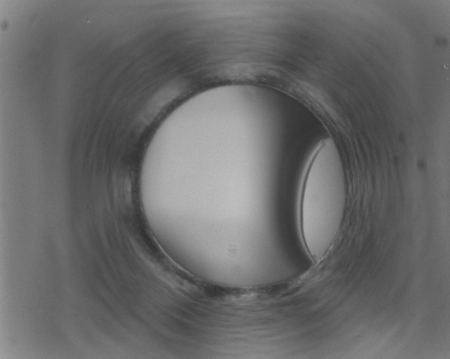 X0000071340120200606230747