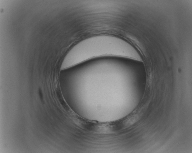 X0000071340121200606230747