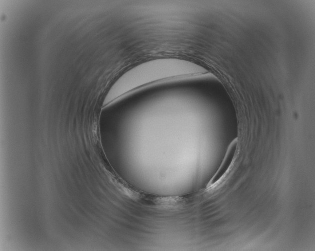 X0000071340192200606230746