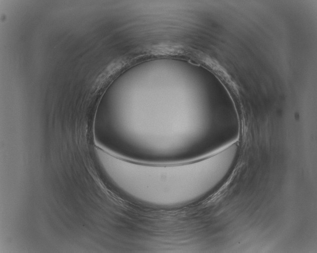 X0000071340201200606230745