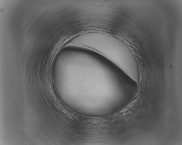 X0000071340241200606230744