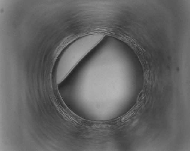 X0000071340242200606230744