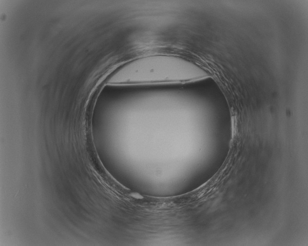 X0000071340243200606230744