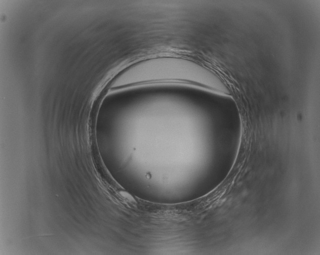 X0000071340244200606230744