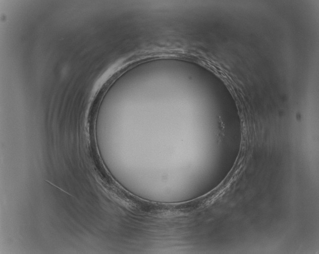 X0000071340246200606230744