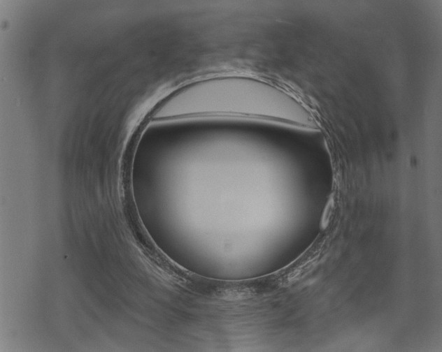 X0000071340248200606230744