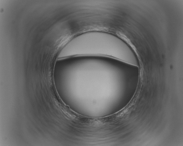 X0000071340249200606230744